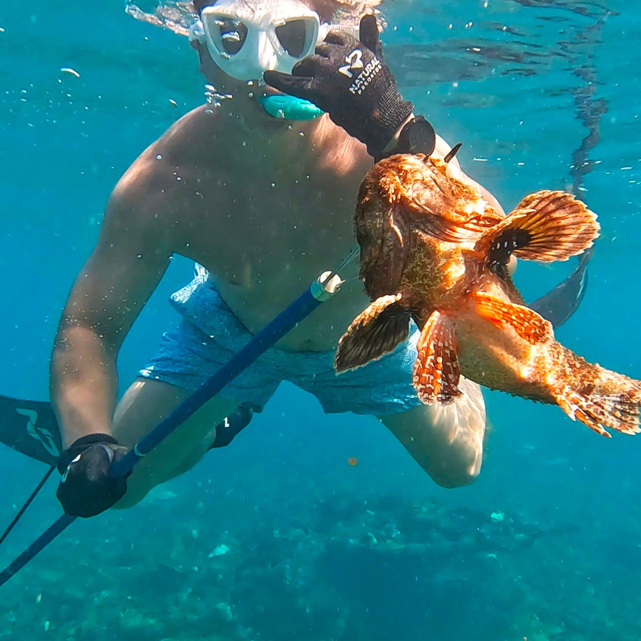 NP Natural Predator Aluminum Travel Pole Spear (Hawaiian Sling) – Natural Predator Spearfishing