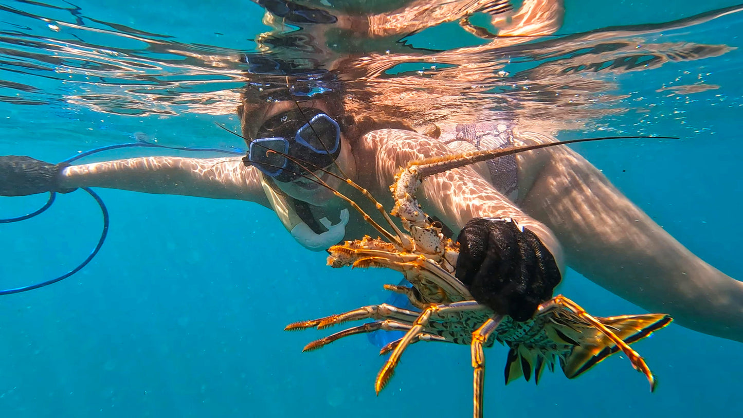 NP Natural Predator Dyneema Spearfishing Gloves&nbsp;
