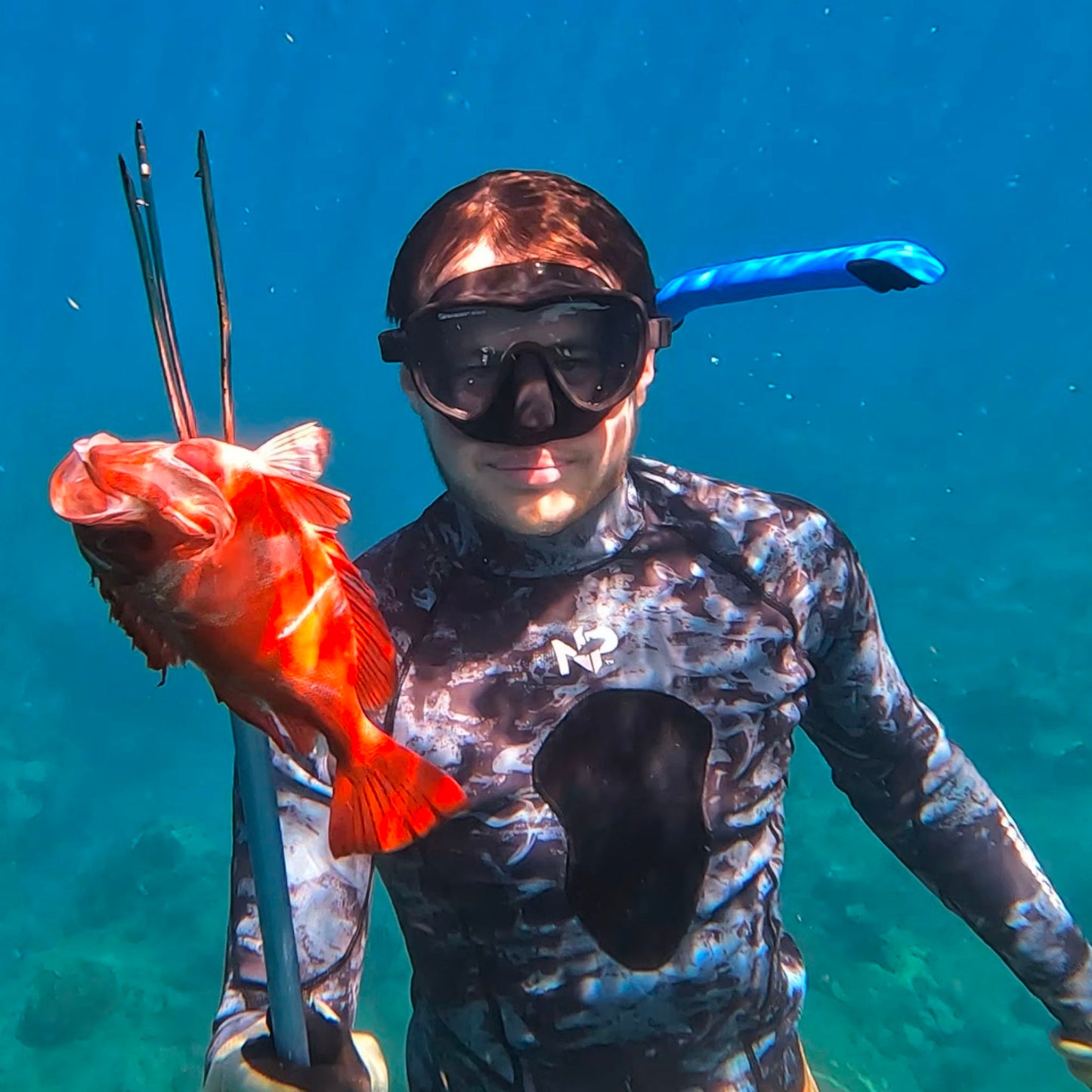 NP Natural Predator Aluminum Travel Pole Spear (Hawaiian Sling) NP Natural Predator Aluminum Travel Pole Spear (Hawaiian Sling)